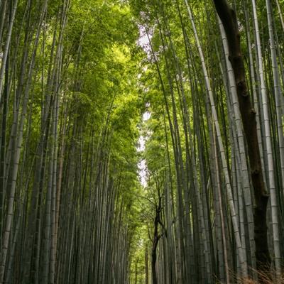 封神无敌2手游九游版下载